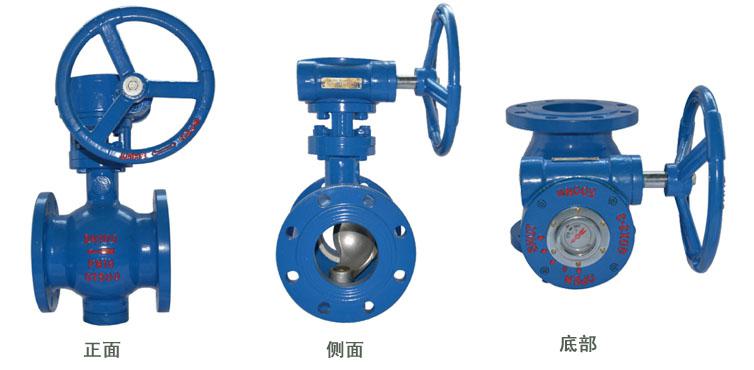 雙偏心半球閥產(chǎn)品圖 雙偏心半球閥產(chǎn)品圖